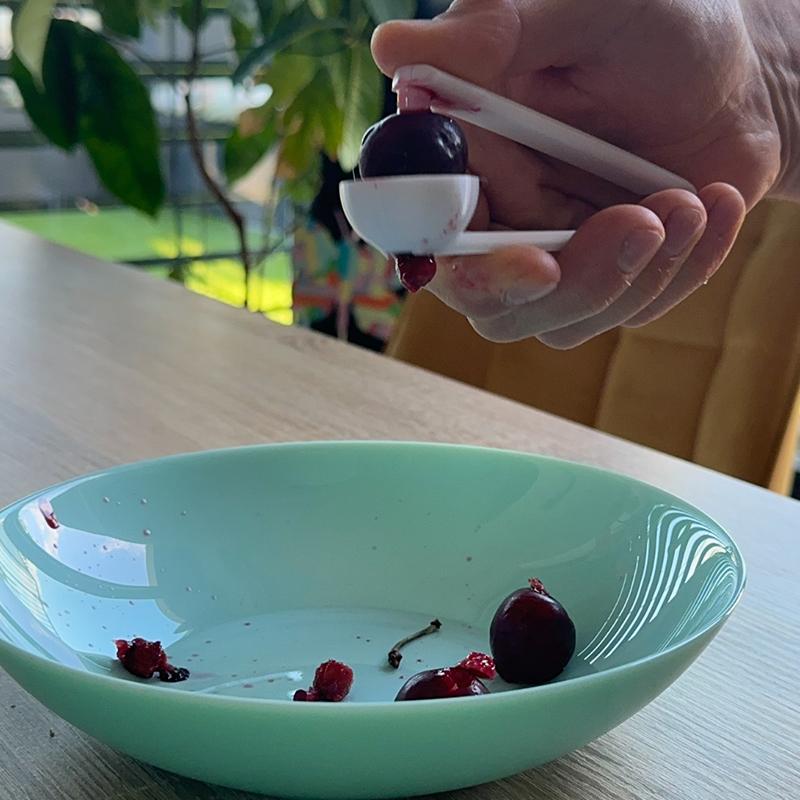 3D Printed Cherry Pitter Easy  - đánh giá và giá Kitchen Gadgets To 3D Print