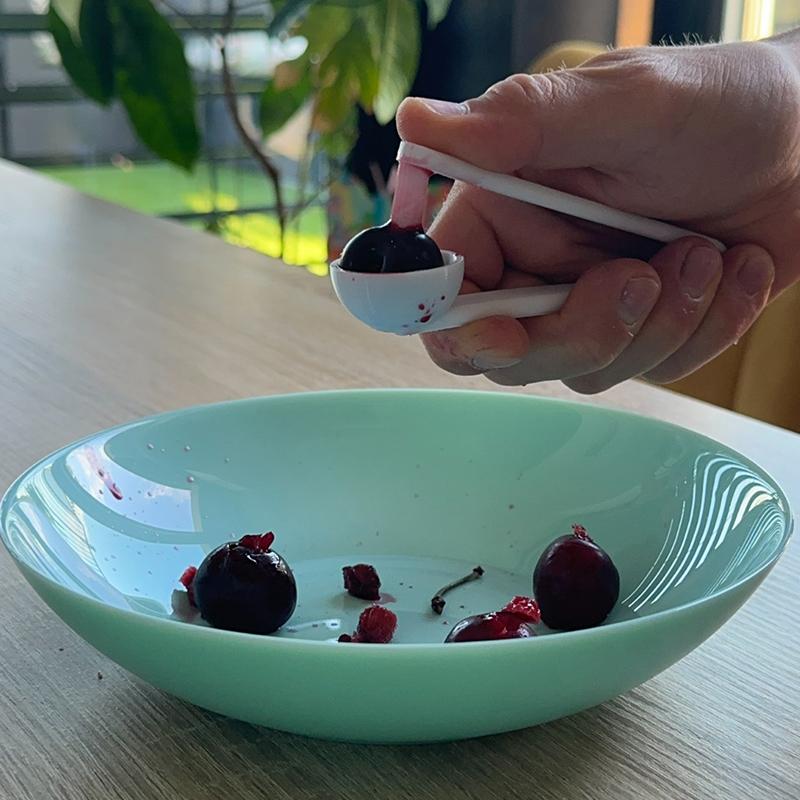 3D Printed Cherry Pitter Easy  - đánh giá và giá Kitchen Gadgets To 3D Print